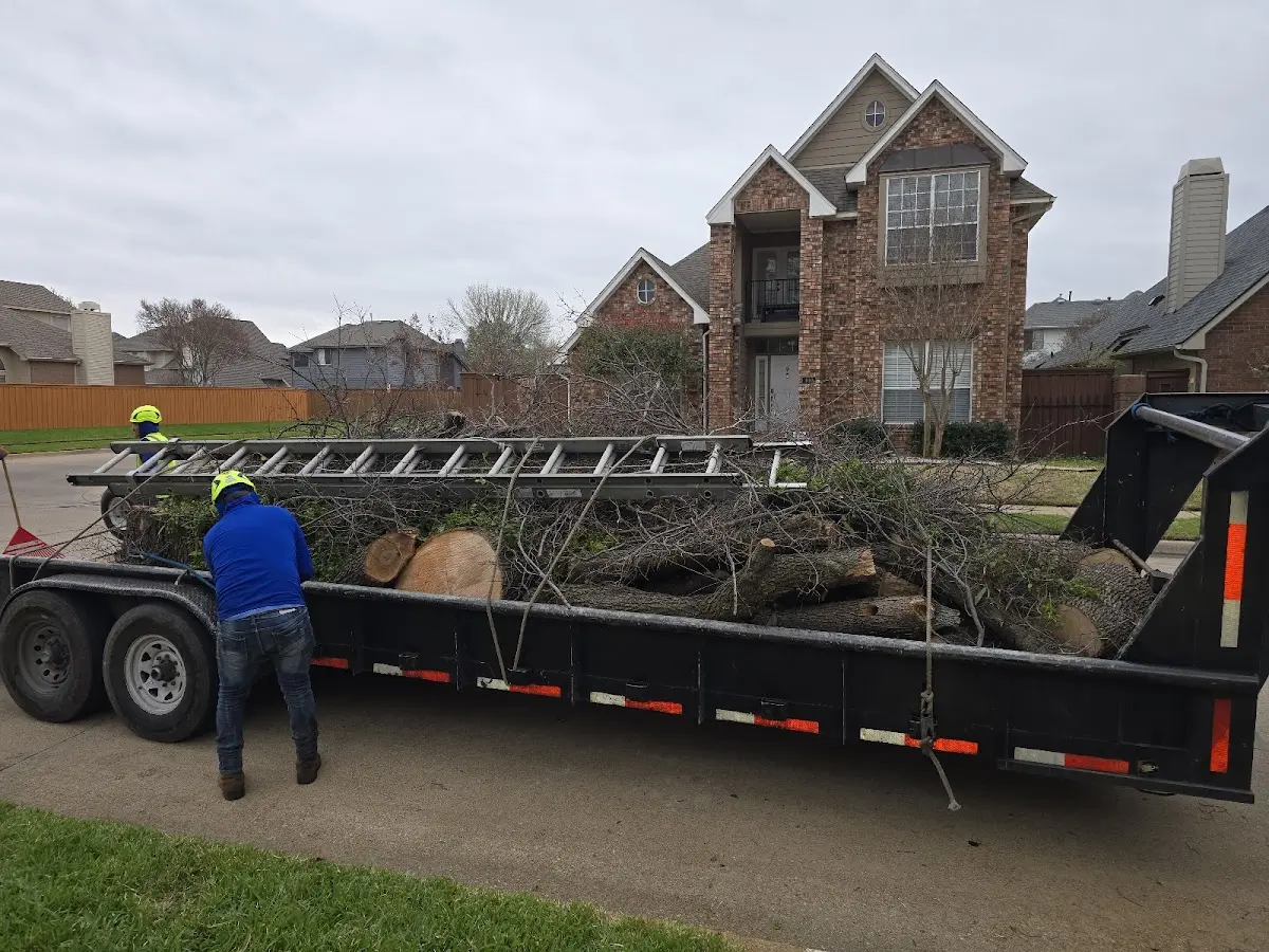 Expert Lot Clearing with proper safety equipment in Hialeah